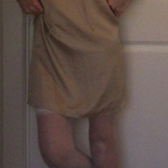 Ann Taylor LOFT Petites "Raw Silk" Oyster colored sleeveless shift, size 4P - Picture 11 of 14